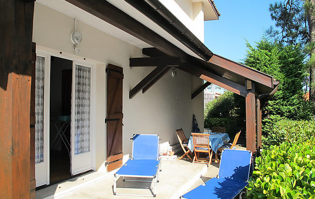 Tourterelles - Photo 4