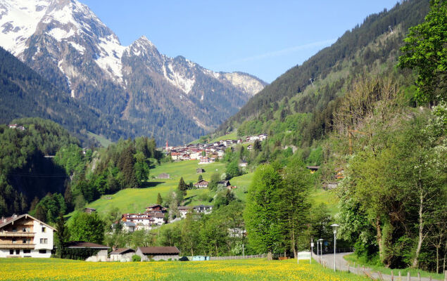 Edelweiß - Photo 12