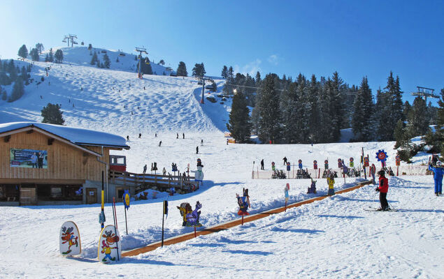 Edelweiß - Photo 17