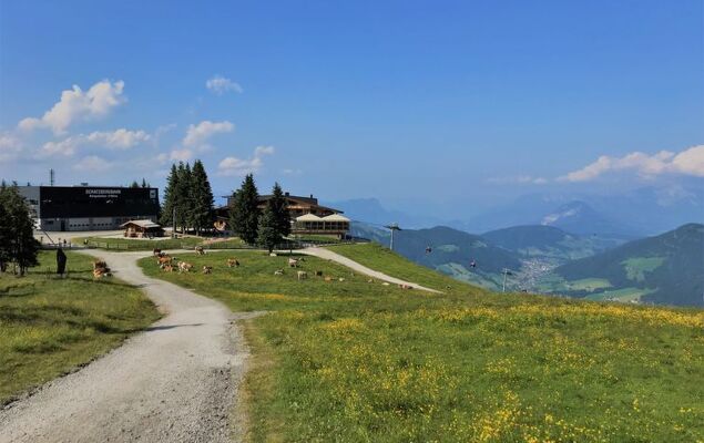 Kragenjoch - Photo 38