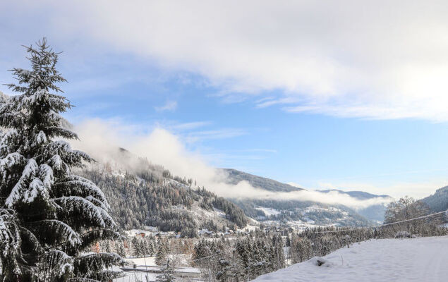 Weissmann - Photo 45