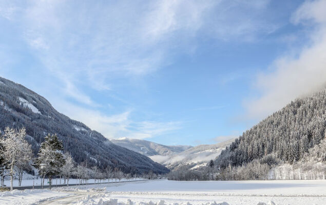 Weissmann - Photo 47