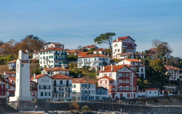 Petit bois - Photo 23