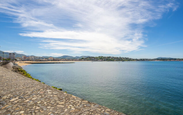 Petit bois - Photo 25