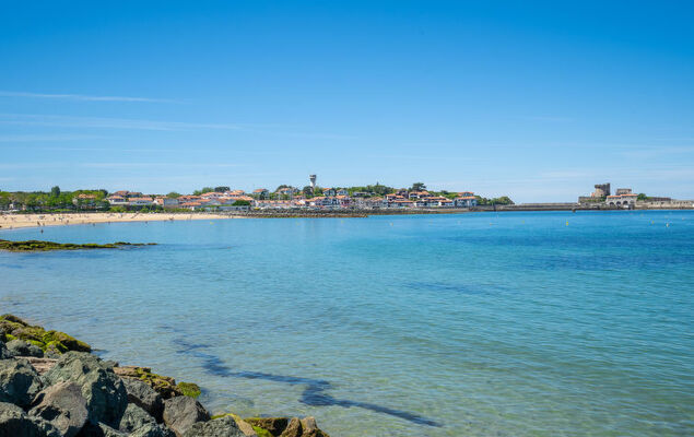 Petit bois - Photo 27