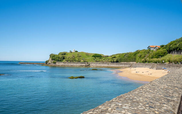 Domaine Iratzia - Photo 37