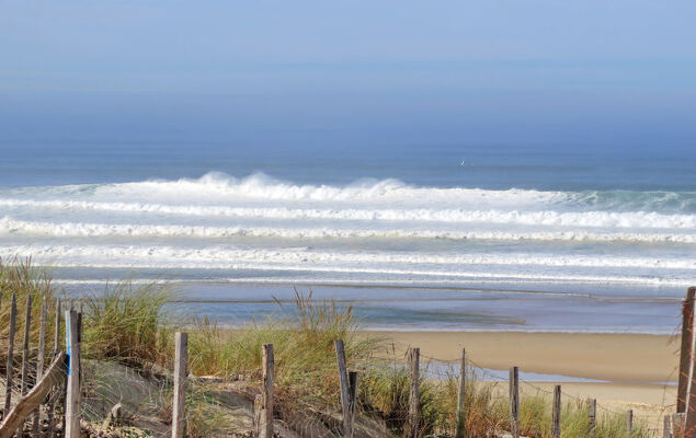 Les Fougères - Photo 37